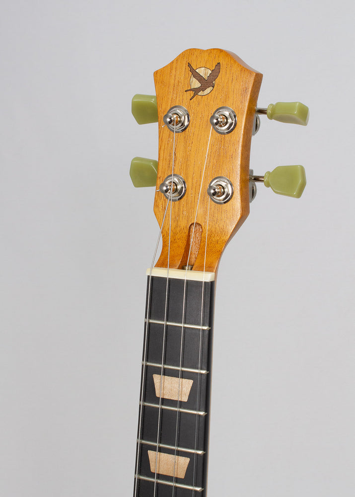 
                  
                    Blackbird SG Steel String Tenor Electric Ukulele (Built to order, ships in 18 days)
                  
                